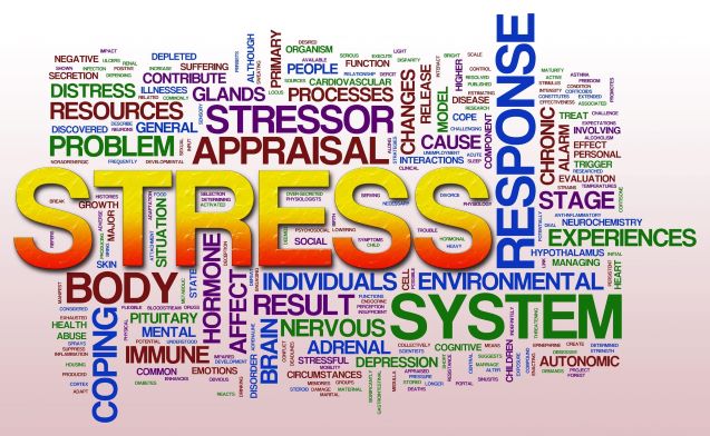 Word cloud of stress and mental health and cognition