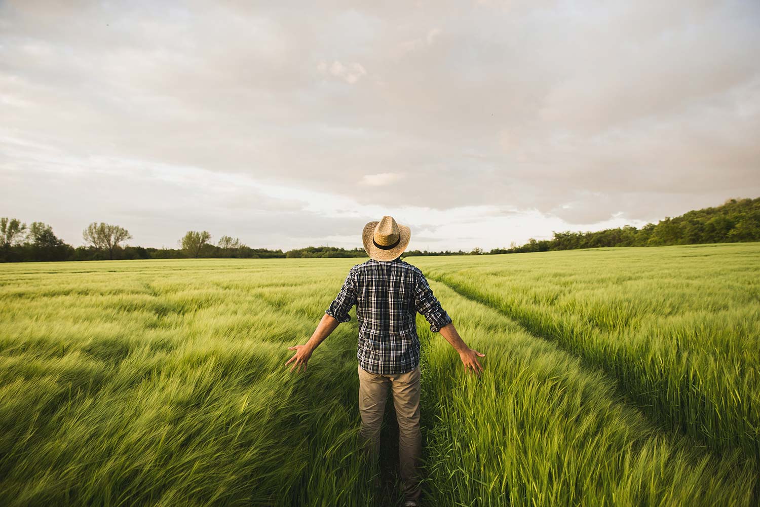 Man in plaid and cowboy hat in a field of tall grass