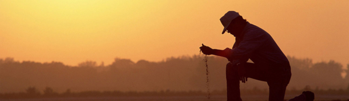 Farmer sifting soil with hand in field at sunset