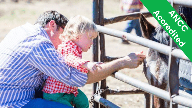 Man and child petting a horse through a fence; text reads ANCC Accredited