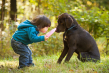 Child playing with a dog outside