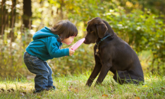 Child playing with a dog outside