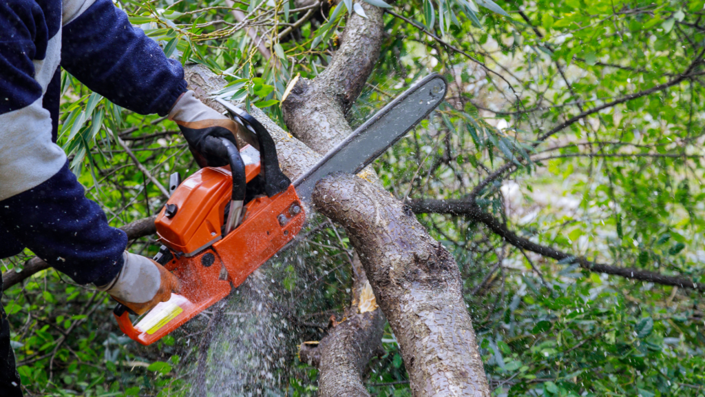 Chainsaw Operation and Safety Training Online - Safetyhub