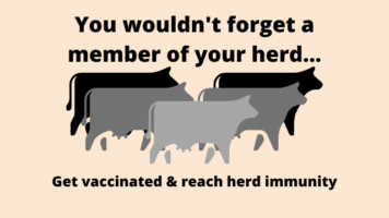 Five cows, text reads: you wouldn't forget a member of your herd... get vaccinated and reach herd immunity