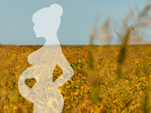 Pregnant woman in front of a field