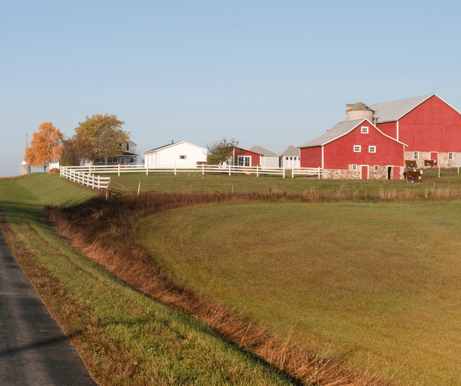 Farm in a field