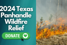 Donate to the 2024 Texas panhandle wildfire relief fund.