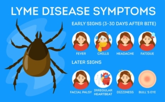 Lyme disease symptoms chart with early signs and later signs.