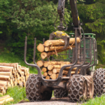 Preventing Workplace Violence for Forestry Workers