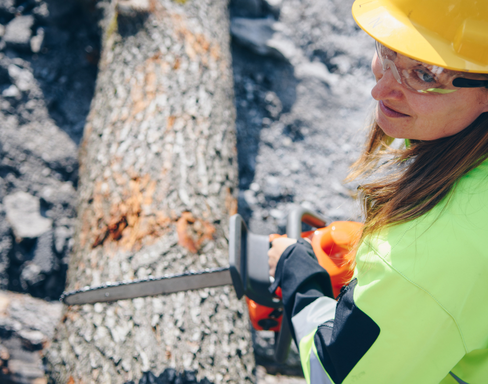 Musculoskeletal and Ergonomic Safety for Forest Workers