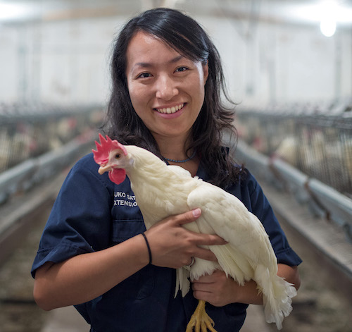 Dr. Yuko Sato holding a chicken.