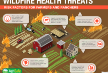 Wildfire health threats poster.