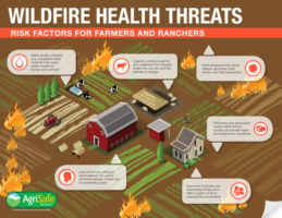 Wildfire health threats poster.