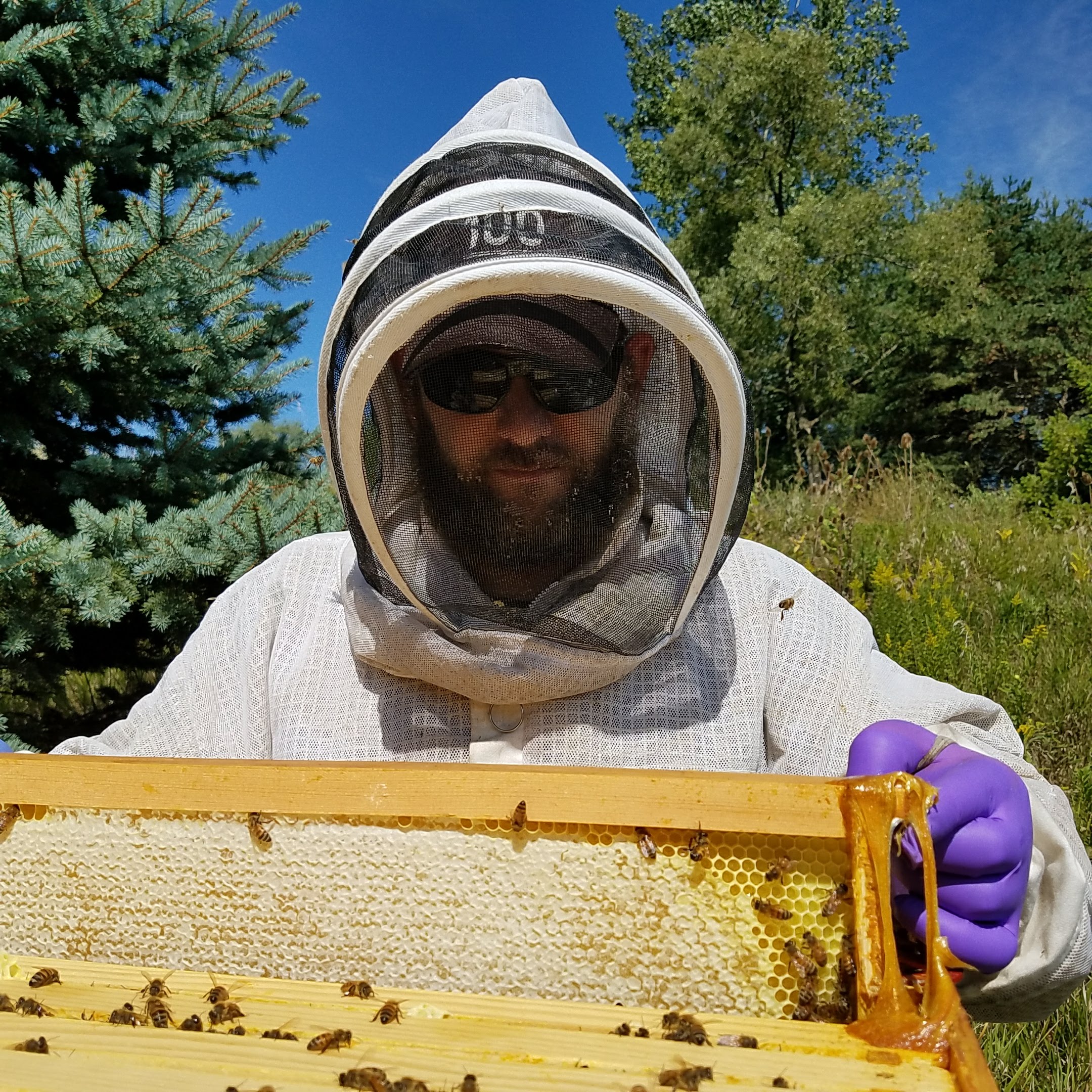 Adam Ingrao wearing a beekeeping suit and holding a honeycomb slat.